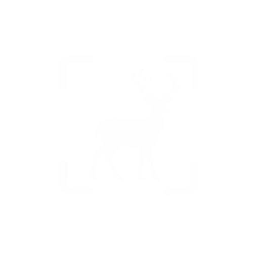 Project screenshot placeholder